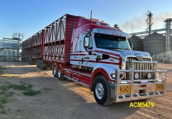 Acm5479 Western Star 48x 49x 6a Bullbar 15 Web